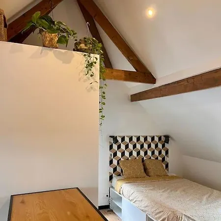 Oskigena - Cosy Studio With Rooftop Terrace * Liege