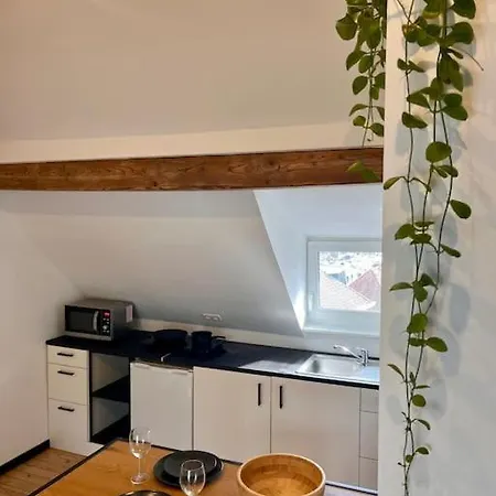 Apartment Oskigena - Cosy Studio With Rooftop Terrace