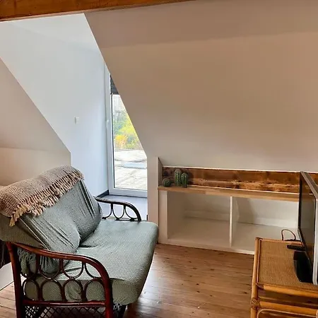 Oskigena - Cosy Studio With Rooftop Terrace Apartment