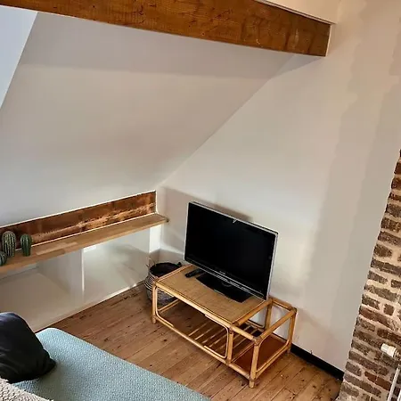 Oskigena - Cosy Studio With Rooftop Terrace *